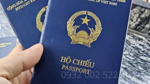 Hướng dẫn tra cứu số hộ chiếu