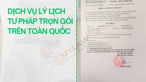 Dịch vụ làm lý lịch tư pháp trọn gói từ A–Z toàn quốc