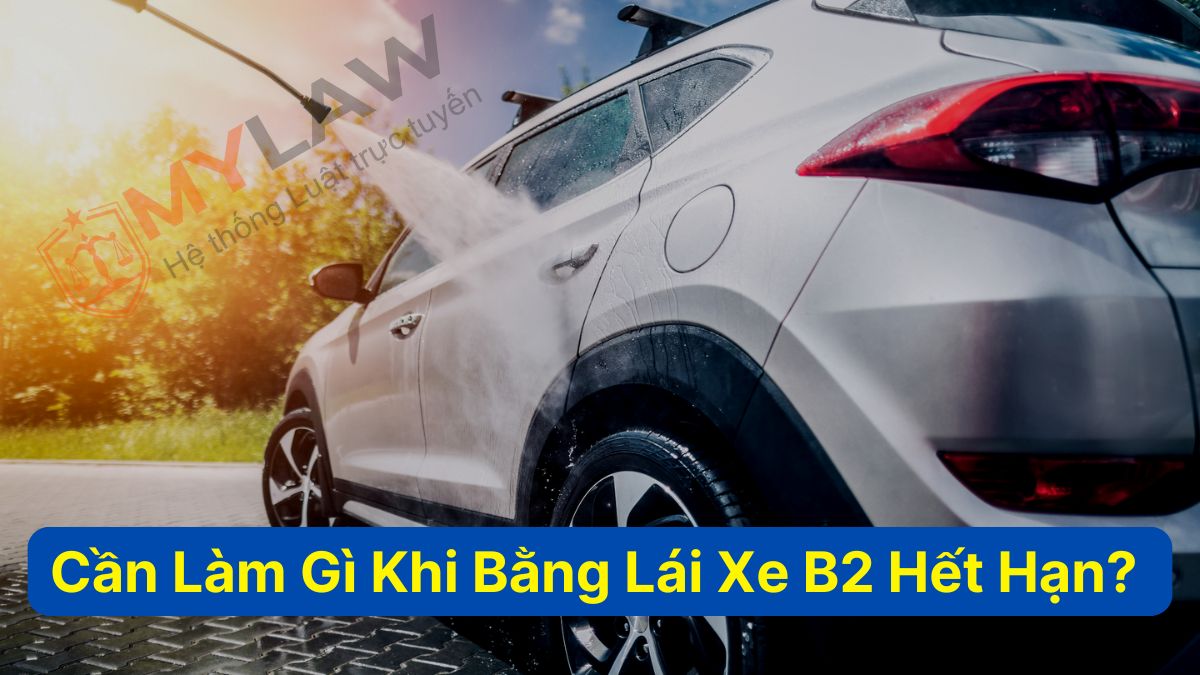 Cần Làm Gì Khi Bằng Lái Xe B2 Hết Hạn? Thủ Tục Đổi Bằng B2