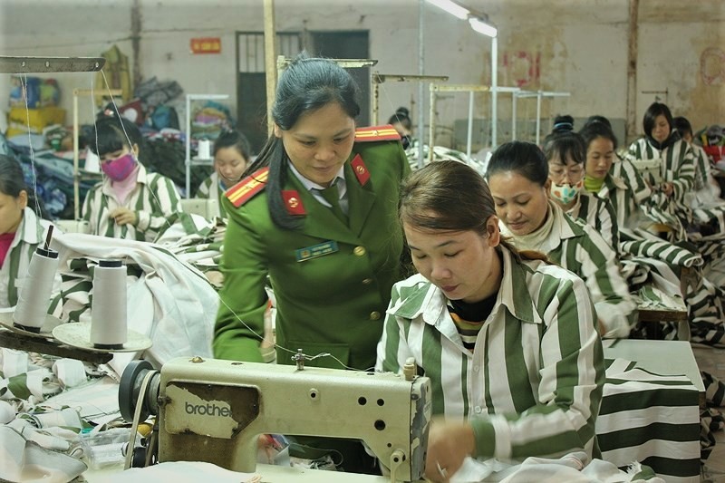 Nghị định về việc thí điểm tổ chức hướng nghiệp cho phạm nhân ngoài trại giam