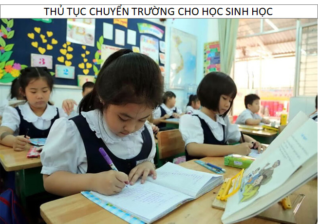 Thủ Tục Chuyển Trường Đối Với Học Sinh Tiểu Học