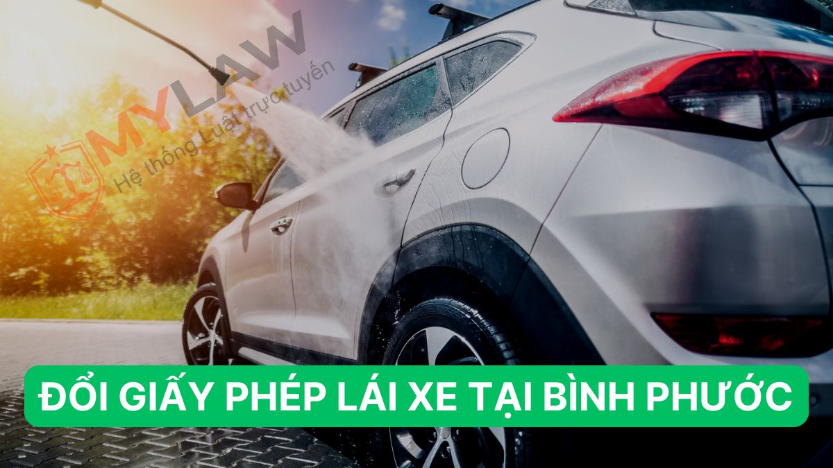 Tư vấn, hỗ trợ chi tiết thủ tục cấp đổi GPLX hết hạn tại Bình Phước