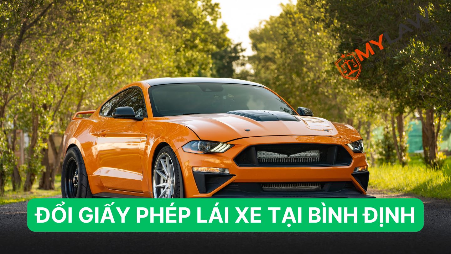 Đổi Giấy Phép Lái Xe Tại Bình Định