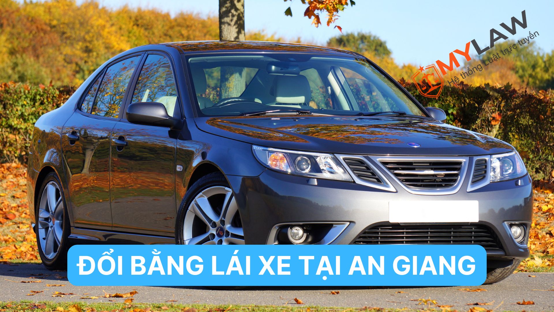 Đổi Giấy Phép Lái Xe Tại An Giang 