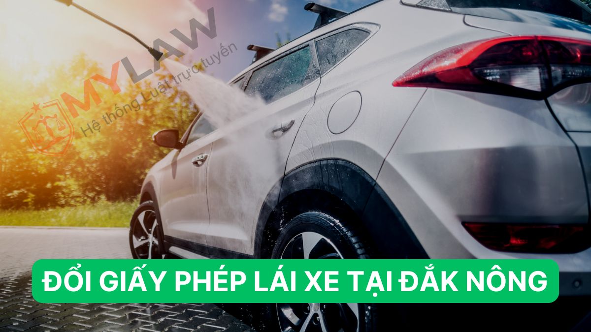 Đổi Giấy Phép Lái Xe Ôtô Tại Đắk Nông