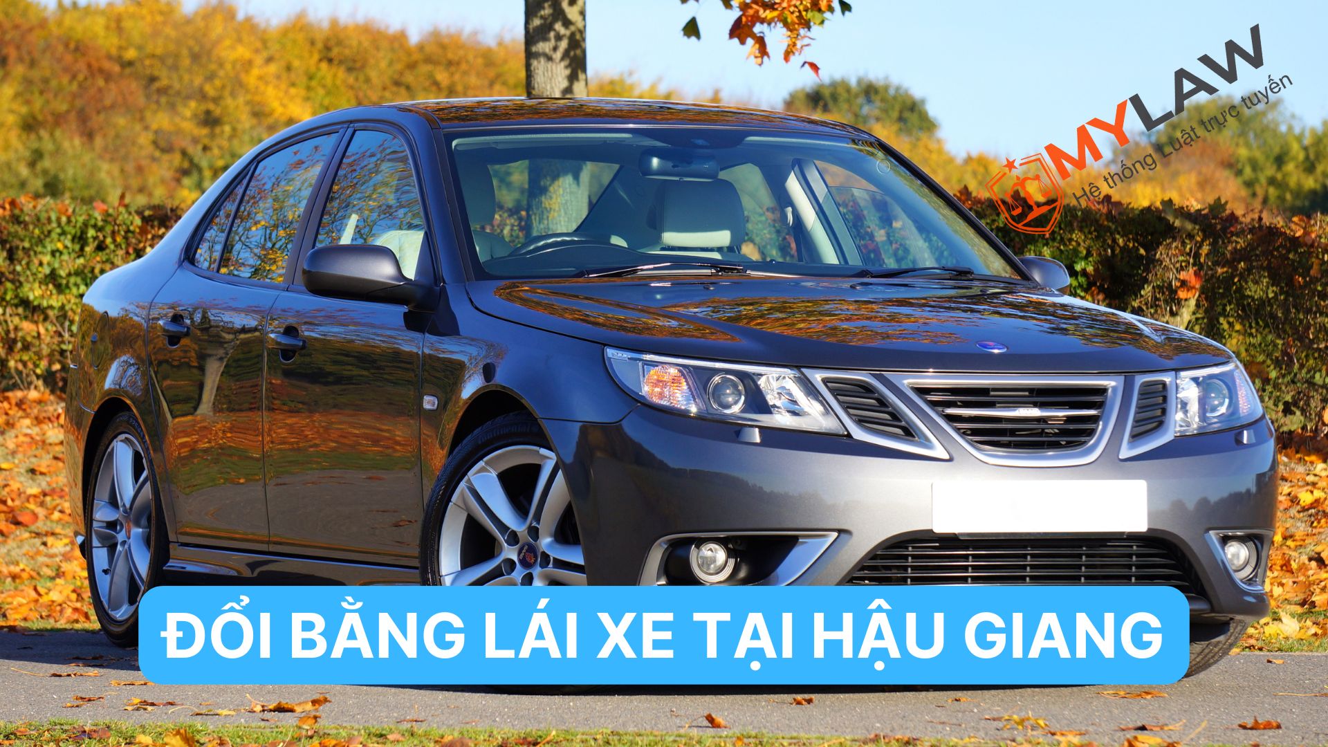 Đổi Giấy Phép Lái Xe Tại Hậu Giang