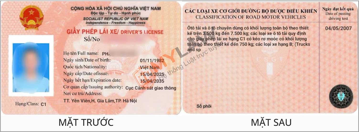 mẫu bằng lái xe mới 2025
