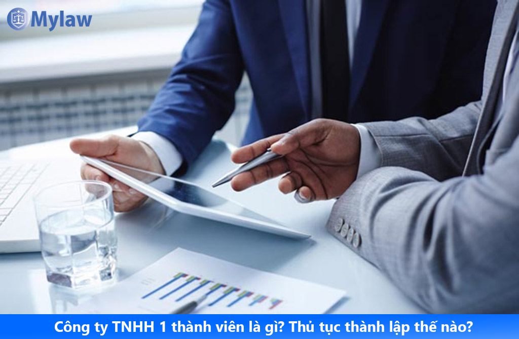 Công ty TNHH 1 thành viên được hiểu như thế nào? Thủ tục thành lập công ty TNHH 1 thành viên ra sao
