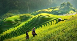 Nội Thất Đẹp Helen