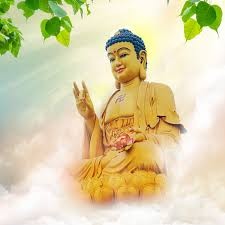 Hỏi luật sư